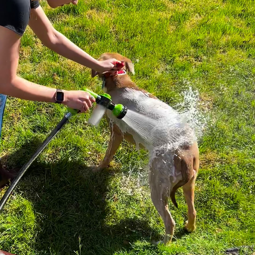 Adreza Douchepistool™| Creëer de Ideale Doucheroutine voor je Hond